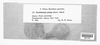 Image Associated With the Occurence